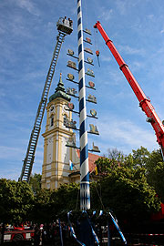 Maibaum aufstellen 2017 in Perlach (Foto: Martin Schmitz)